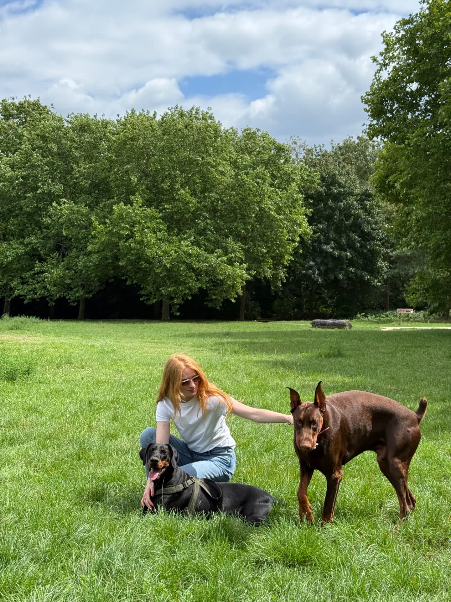 Clémence assise dans l'herbe avec Neva et un second Doberman dans un parc ensoleillé